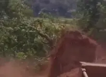 جزییات تخریب جنگل‌های هیرکانی الیمالات نور