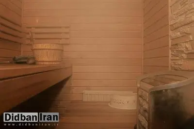 «سونا» ریسک ابتلا به زوال عقل را کاهش می دهد