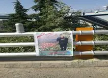 قالیباف پس از ریزش شدید آرایش انصراف داد