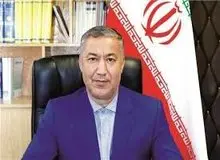 واردات 5 هزار تن گوسفند/ آغاز واردات لاستیک هندی
