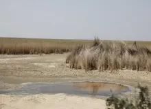  مدیر کل مشارکت های مردمی سازمان محیط زیست: ترکیه  صددرصد  آب فرات و ۶۰ درصد از آب دجله را تصاحب کرده و  اکنون  قصد دارد ۴۰ درصد باقی‌مانده ‌آب دجله را نیز غصب کند