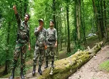 ۵ حمله به جنگلبانان و محیط بانان در یکسال 