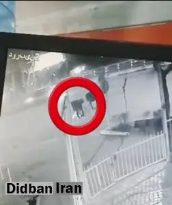 قتل دانشجویِ دانشگاه تهران توسط سارقانِ زورگیر+فیلم