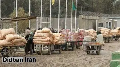 فرشادان: دولت برای ساماندهی کولبران پیشقدم شود