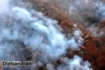 نماینده مجلس: هواپیمایی‌هایی که از ترکیه آورده‌اند توانستند تا حدی آتش را مهار کنند/ امروز باید این وضعیت تمام شود