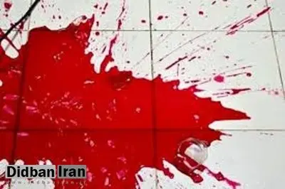 پسر ۲۶ ساله چه‌طور قاتل پدرش شد؟