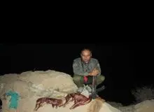 شهادت محیط‌بان خائیز در درگیری با متخلفان شکار