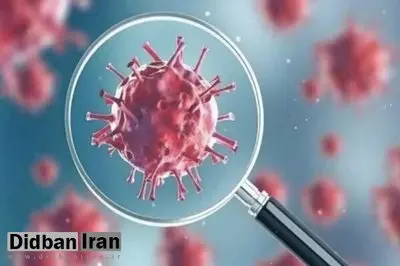 کرونا در صدر ویروسهای تنفسی طی هفته گذشته / میزان پایین فعالیت ویروس آنفلوآنزا