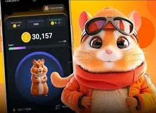 خبر جدید برای همستربازان/ همستر کامبت قیمت‌گذاری شد!