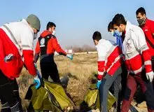 نحوه مراجعه خانواده قربانیان سقوط هواپیما به پزشکی قانونی برای اخذ نمونه ‌DNA
