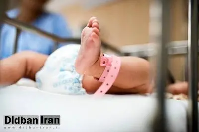 روند افزایشی بارداری در رده سنی ۳۵ تا ۴۵ سال