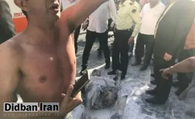 واکنشها به خودسوزی مقابل شهرداری تهران/ از دستور شهردار تهران تا انتقاد عضو شورا از انتشار فیلم/ خداکرمی: فردی که تهدید و یا اقدام به خودکشی میکند به روانپزشک نیاز دارد