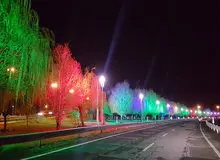 یکی از عوامل مرگ تدریجی درختان ولیعصر مشخص شد؛ آلودگی نوری 