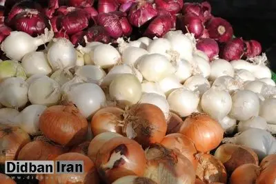 دلیل گرانی پیاز اعلام شد