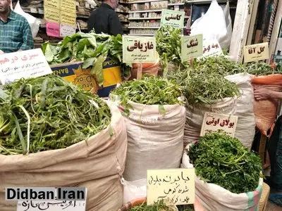 سودجویی با گیاهان کمیاب کوهستان‌های تهران / فروش سبزی‌های کوهی به قیمت گزاف در بازار تجریش