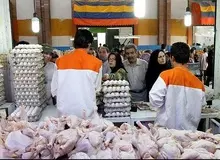 مرغ ارزان می‌شود