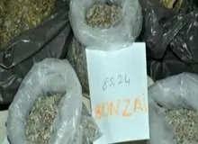 ماده مخدری به نام بونزای در کشور کشف نشده است
