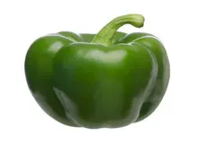 رئیسی شخصا با پوتین در مورد فلفل دلمه‌ای مذاکره کرد