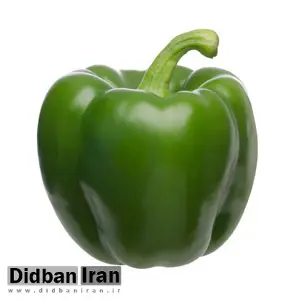 رئیسی شخصا با پوتین در مورد فلفل دلمه‌ای مذاکره کرد