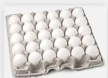 قیمت جدید تخم‌مرغ اعلام شد/ هر کیلو تخم‌مرغ برای مصرف‌کننده چقدر مصوب شد؟