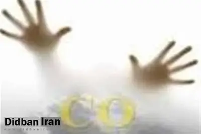مرگ 16 گلستانی بر اثر مسمومیت با گاز منوکسید کربن در سال 95