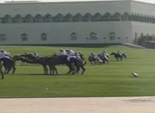 استقبال از ترامپ با شتر+فیلم/ ترامپ: دست خوش با این شترهاتون!