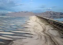 ۴ گیاهی که ۶۸درصد آب دریاچه ارومیه را بلعیدند آشنا شوید 