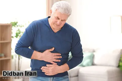 گیاهی تلخ که خواص شیرین برای سلامت رودهها دارد