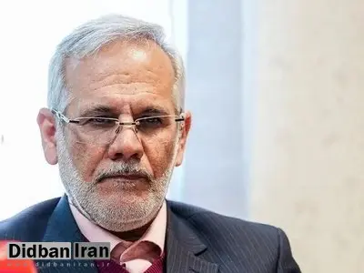 عمده ایرانیان اخراج شده از آمریکا ورود غیرمجاز به آنجا داشتند/ افرادی که به صورت غیرقانونی از کشور خارج شده باشند، مجازات نمیشوند