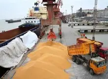 هشدار سازمان بازرسی به وزارت جهاد کشاورزی درباره نهاده‌های دامی: اقدام خالی فروشی واردکنندگان باعث نارضایتی واحدهای تولیدی شده