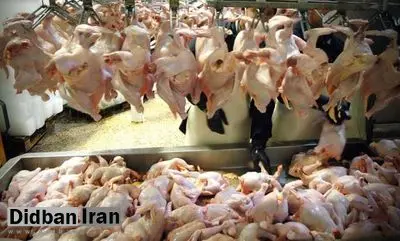 مرغ را گرانتر از ۸۲۰۰ تومان نخرید