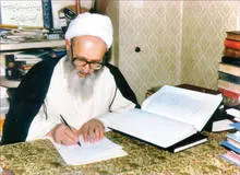 علامه حسن‌زاده آملی دار فانی را وداع گفتند
