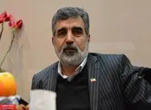 سخنگوی سازمان انرژی اتمی: ماندن در برجام بهتر از نماندن در آن است/ اروپا به خاطر ایران با آمریکا درگیر نمی‌شود