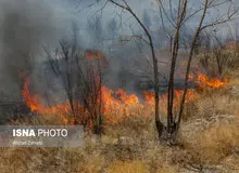 خون گریست، پاوه در دره ژاله/ آتش‌سوزی مجدد در «بوزین و مره‌خیل» کرمانشاه
