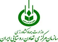 رییس سازمان مرکزی تعاون روستایی کشور منصوب شد