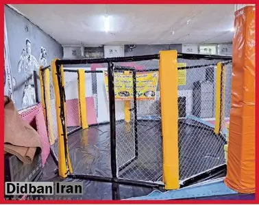 ماجرای قتل دختر ۱۹ ساله مشهدی در باشگاه زیرزمینی بوکس