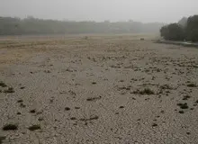 قابلیت‌های موجود برای رفع معضل ریزگردهای خوزستان بررسی می‌شود