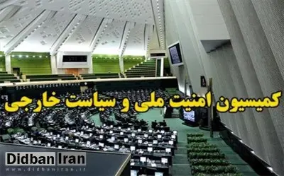 سخنگوی کمیسیون امنیت ملی مجلس : کریمی قدوسی تابعیت ایرانی دارد اما ایرانی الاصل نیست /اگر کاندیدای ریاست جمهوری شود حتما رد خواهد شد