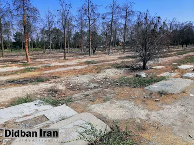  معاون شهردار تهران: «قطعه  ۴۱ قبور منافقین در بهشت‌ زهرا را تبدیل به پارکینگ برای استفاده مردم کردیم»+فیلم 