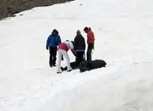 کشف جسد ۲ کوهنورد مفقود شده در کوهستان الوند