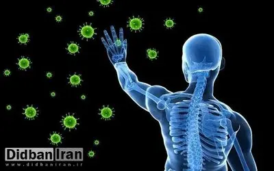 برای تقویت سیستم ایمنی ویتامین C مفیدتر است یا زینک؟