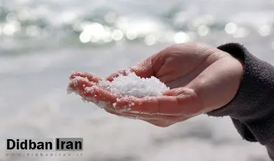 نمک دریا مجوز ندارد
