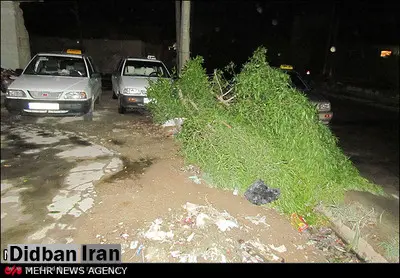 اعطای وام ۲۰ میلیون تومانی به آسیب دیدگان طوفان بوشهر