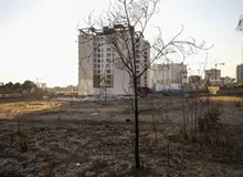 باغ برره خشک شد، برج ۲۱ طبقه به‌جایش ساخته می‌شود/ پای بنیاد مستضعفان وسط است!/ عکس