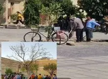  «درخت آرزوها» در بازار وکیل شیراز به دلیل عکاسی‌ مردم در کنار آن، قطع شد+عکس 