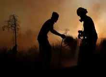 آتن در آتش؛ حریق جنگلی دامن یونان را گرفت+ عکس 