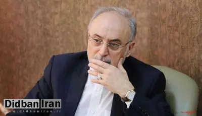 صالحی: زیرساخت ایجاد چند صد هزار سو در نطنز آماده شده / همزمانی تحریم و اجرای برجام غیرممکن است