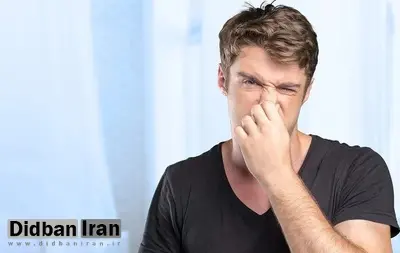 غذاهایی که بوی بدن شما را دلپذیرتر می‌کنند