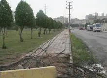 سقوط درخت، عامل قطع برق برخی مناطق اهواز اعلام شد