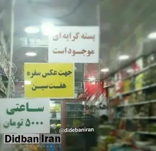 کرایه دادن پسته ساعتی ۵ هزار تومان +تصاویر